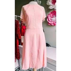 Nwt Cameron Woven Lace Godet Dress - Blush Pink